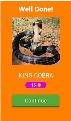 Guess The Word By Picture Quiz - Screenshot 4