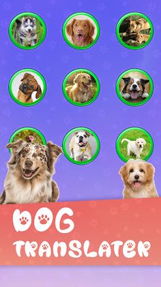 Translator for Dogs Prank - Screenshot 1