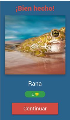 Adivinar Animales - Screenshot 3