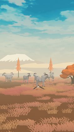 Camerun - Screenshot 4