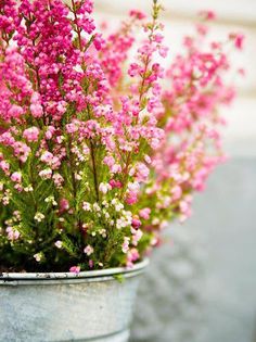 Flower Jigsaw Puzzle Cute - Screenshot 4