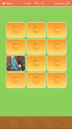 Birds Memory Match Game - Screenshot 2