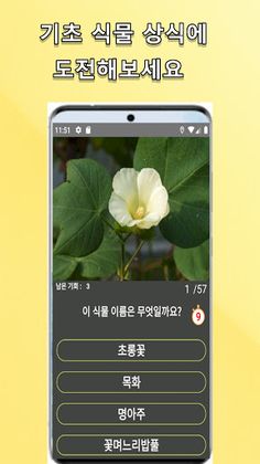 길거리 식물 이름 맞추기 - Screenshot 2