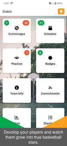 Basketball Sim - Screenshot 1