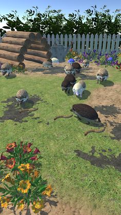 Hedgehog Friends - Screenshot 2