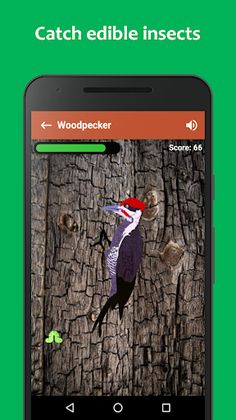 Woodpecker simulator - Screenshot 1