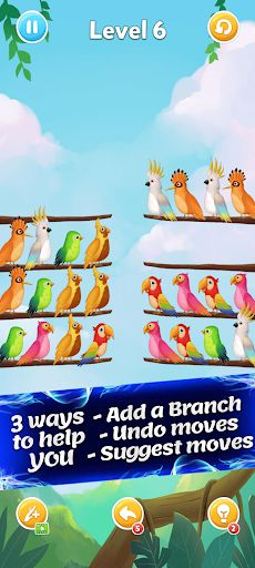 Sort Birds - Screenshot 3