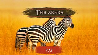 The Zebra - Screenshot 2