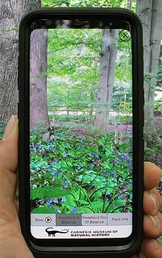 AR Perpetual Garden - Screenshot 1