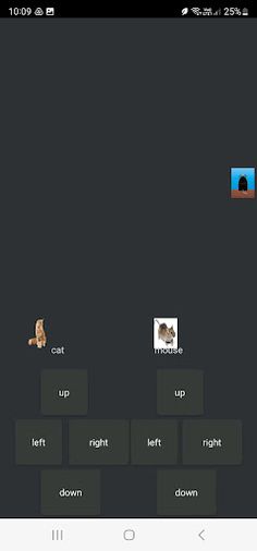 Cat vs Mouse - Screenshot 2