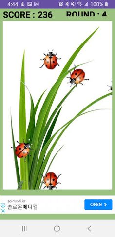 BUG Kill Game(벌레 잡기 게임) - Screenshot 1