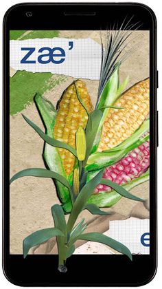 Diidxa - Screenshot 3