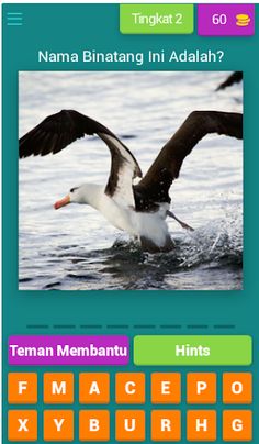 Tebak Gambar Binatang V.1 - Screenshot 2