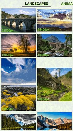 Clover Pixel Coloring - Screenshot 1