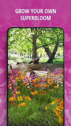 Tower Superbloom AR - Screenshot 1