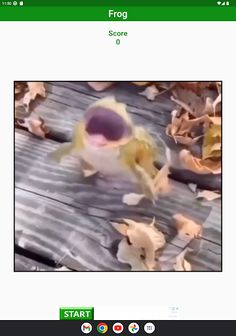 Frog - Jumping Frog - Screenshot 4