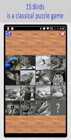 15:Birds Puzzle - Screenshot 1