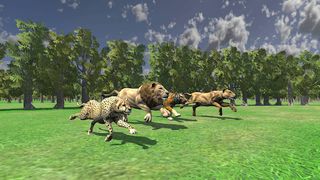 Wild Animals Race Simulator 3D - Screenshot 3