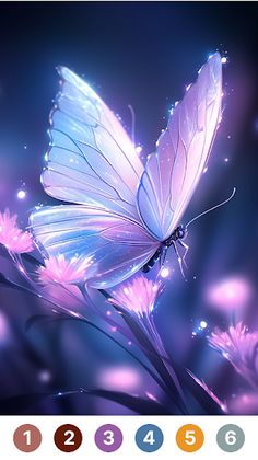 Butterfly Color : Puzzle Games - Screenshot 2