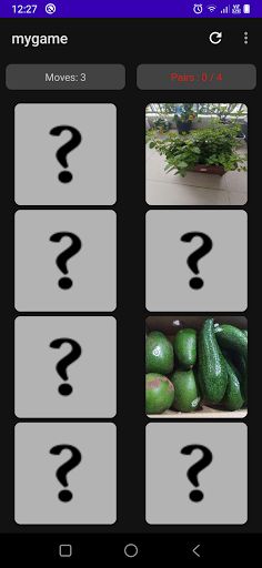 Memory Game - Image matching g - Screenshot 3
