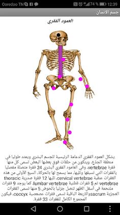 جسم الانسان - Screenshot 3