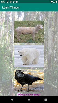 Learn Things! - Screenshot 2