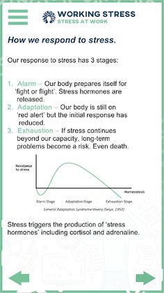 Working Stress - Screenshot 4