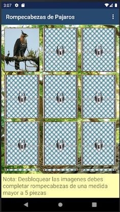 Rompecabezas de Pajaros - Screenshot 2