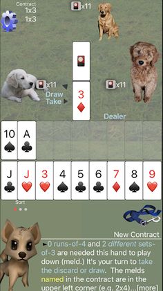 K9 Shanghai Rummy - Screenshot 2