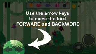 Hungry Birds - Screenshot 2