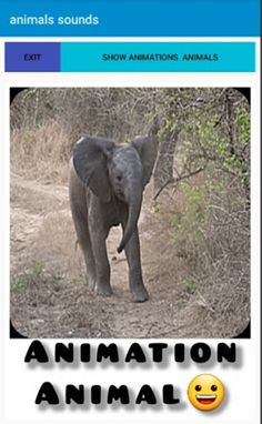 Animalssounds - Screenshot 2