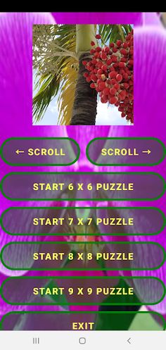 Slidin Puzz Combo - Screenshot 3