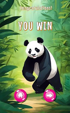 Save My Panda - Screenshot 3