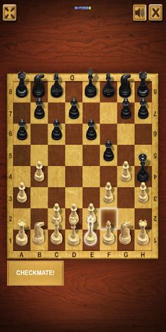 Master Chess - Screenshot 4