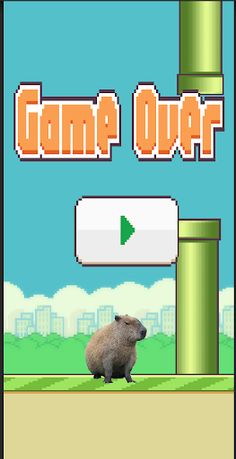 Cuida a Capybara - Screenshot 1
