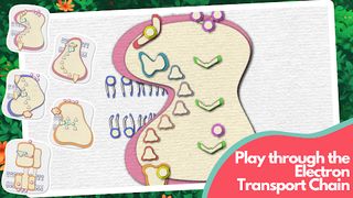 Powerhouse of the Cell - Screenshot 1