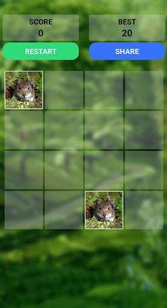 Animals 2048 - Screenshot 2