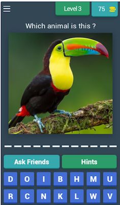 Animals Quiz - Screenshot 4