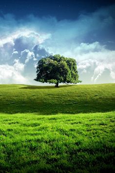 G14: Test app IAB_Badge 02 - Screenshot 1