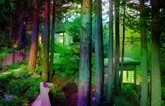 Escape From Birds Forest - Screenshot 3