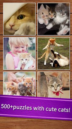 Easy cat puzzle - Screenshot 2