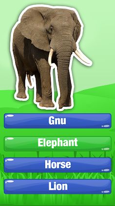 Guess The Animal Quiz Games - Screenshot 1