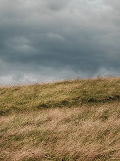 Verdant valleys - Screenshot 3