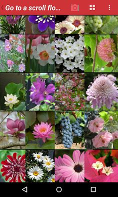 Mozart Fantasy - Screenshot 2