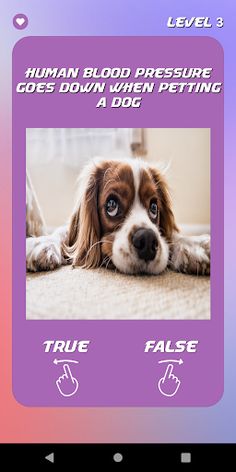 DYK: Guess Right - Learn Facts - Screenshot 1