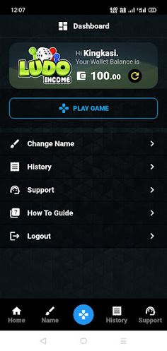 Ludo Income - Screenshot 1