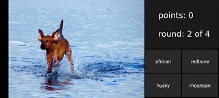 Dog Quiz - guess the breed - Screenshot 3