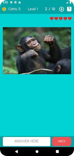 Guess Animal Name - Screenshot 3