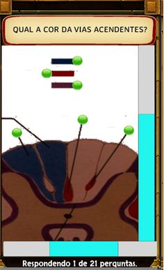 Jogando Anatomia (Completo) - Screenshot 4