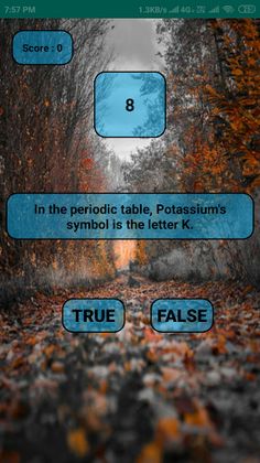 Quize - Screenshot 3